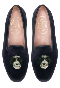 Portuguese Water Dog (Men)