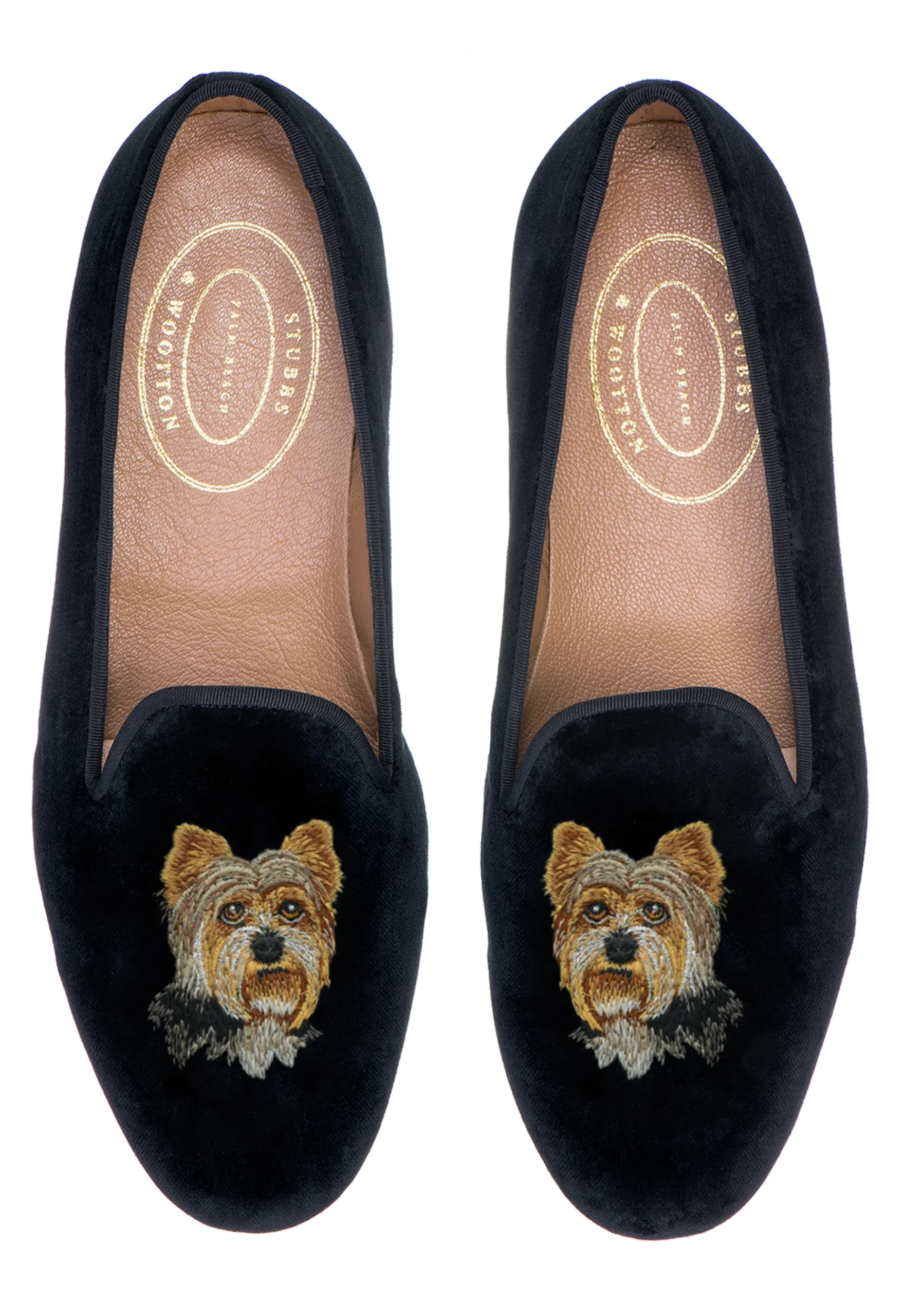 Yorkshire Terrier (Men)